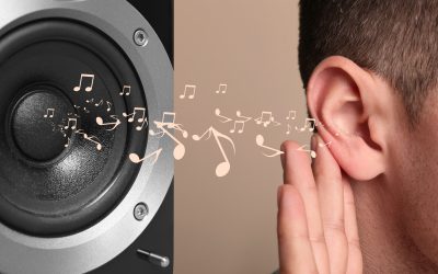 What Makes Human Hearing Special?